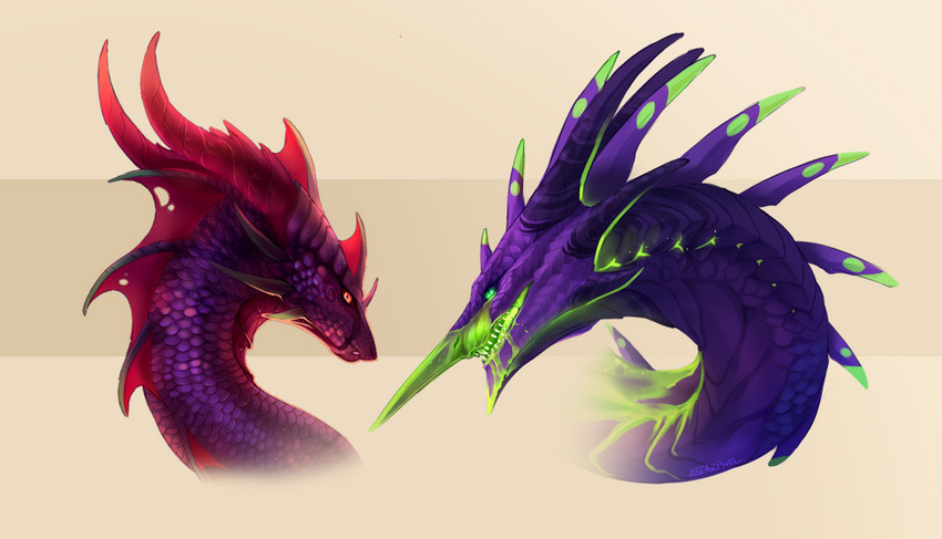 duo feral frill_(anatomy) frill_spines head_crest head_frill head_spikes horn membrane_(anatomy) membranous_frill open_mouth purple_body purple_scales scales spikes spikes_(anatomy) spines teeth astarphel mythology dragon mythological_creature mythological_scalie scalie 2020 digital_media_(artwork)