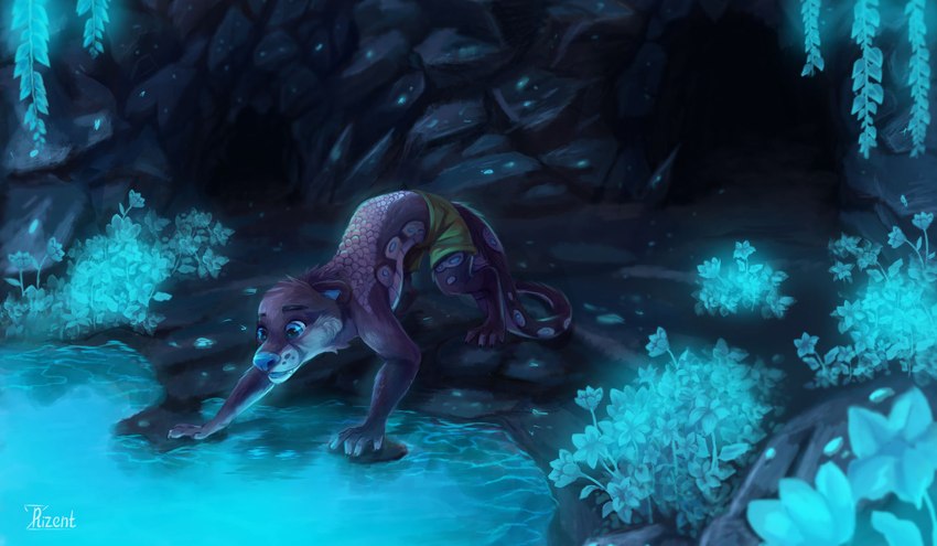 anthro bioluminescence blue_eyes blue_flower blue_glow blue_nose cave clothing detailed_background flower glowing glowing_plants high-angle_view looking_down male plant pond refraction scales semi-anthro solo swimming_trunks swimwear tail tunnel water rizent mythology risorahn dragon hybrid mammal mustelid mythological_creature mythological_scalie otter scalie 2020 hi_res