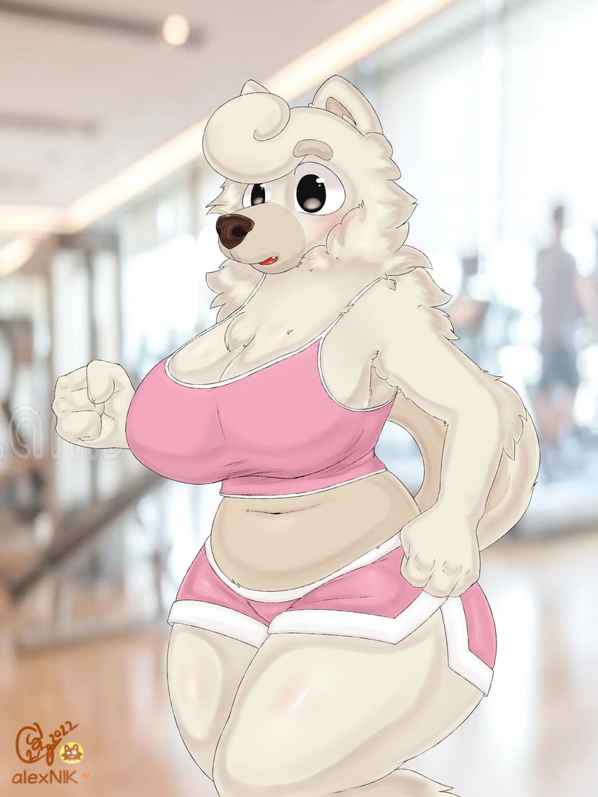 athletic_wear big_breasts bottomwear bra breasts clothing female gym_bottomwear gym_shorts photo_background shorts solo sports_bra underwear alexnik bluey_(series) wendy_(bluey) canid canine canis chow_chow domestic_dog mammal spitz 3:4 hi_res photography_(artwork)