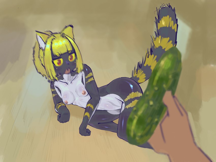 anthro cucumber disembodied_hand duo female food fruit plant scared kawaifufuko cats_vs._cucumbers domestic_cat felid feline felis human mammal 4:3 hi_res meme