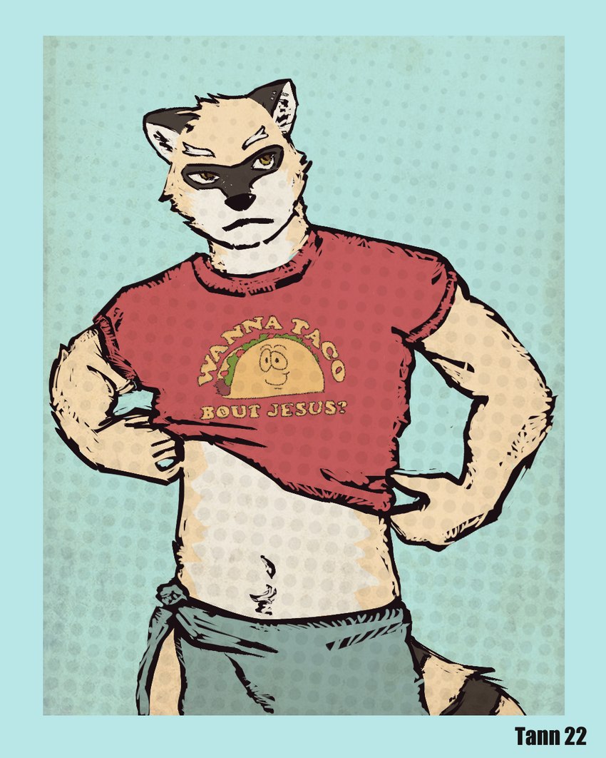 anthro belly clothed clothing exposed_belly fur humor looking_away male markings partially_clothed pun raised_clothing raised_shirt raised_topwear shirt simple_background solo standing t-shirt tail tail_markings text text_on_clothing text_on_shirt text_on_topwear topwear yellow_body yellow_fur bjakery super-nova nick_saunders_(templar) mammal procyonid raccoon 2022 colored digital_media_(artwork) hi_res