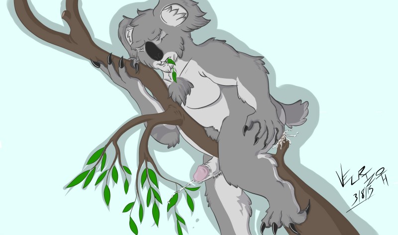 4_toes anal anal_masturbation anal_penetration anthro bite black_claws bodily_fluids branch claws cum cumshot eating ejaculation erection eucalyptus eyes_closed fangs feet fur genital_fluids genitals grey_body grey_fur holding_on humanoid_genitalia humanoid_penis in_tree leaf male masturbation nude orgasm penetration penis plant pubes slightly_chubby solo teeth toe_claws toes tree white_body white_fur velrizoth koala mammal marsupial vombatiform hi_res