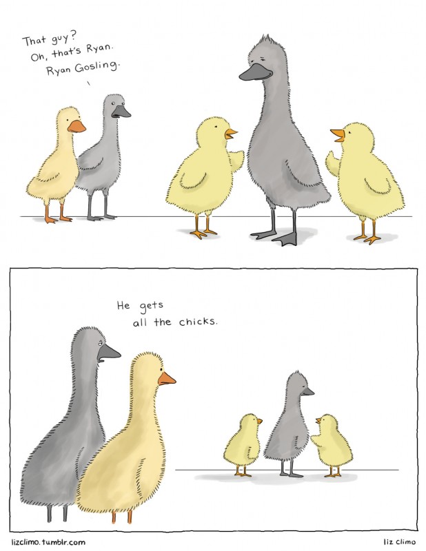 beak dialogue female humor male simple_background text white_background liz_climo ryan_gosling anatid anseriform anserinae avian bird chicken galliform gallus_(genus) goose phasianid comic english_text hi_res url