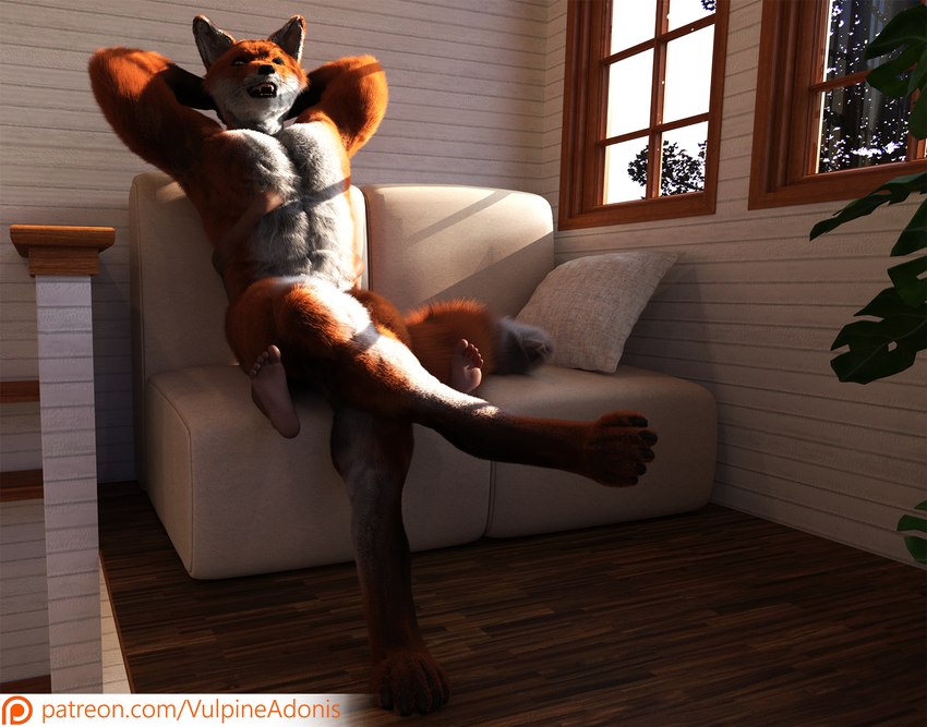 abs anthro brown_body brown_fur crossed_legs day digitigrade dipstick_tail dominant duo fangs floor fur furniture hand_on_chest hand_on_pecs hands_behind_head houseplant inside larger_male light looking_down male male/male markings open_mouth orange_body orange_fur pecs pillow plant plantigrade raised_arms sitting sitting_on_another size_difference smaller_male smothering sofa studio tail tail_markings teeth text tree weightplay whiskers white_body white_fur white_pillow white_sofa white_tail_tip window wood wood_floor yellow_eyes vulpineadonis daz canid canine fox human mammal 3d_(artwork) digital_media_(artwork) hi_res url