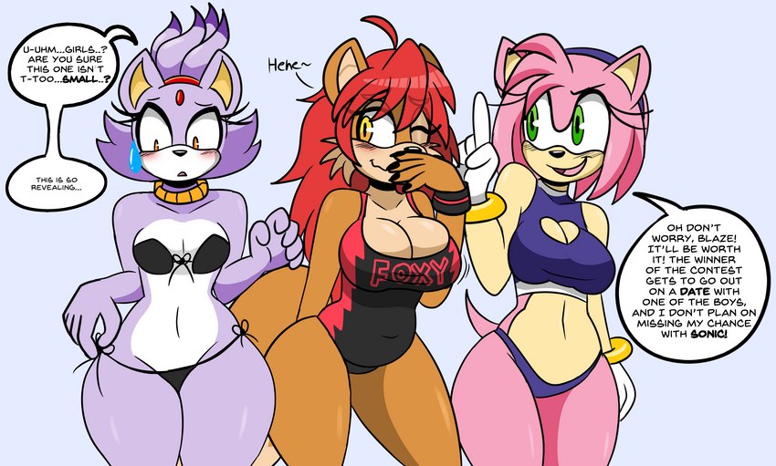 amy rose, blaze the cat, fan character, and melina fox (sonic the hedgehog (series) and etc) created by darkwolfhybrid