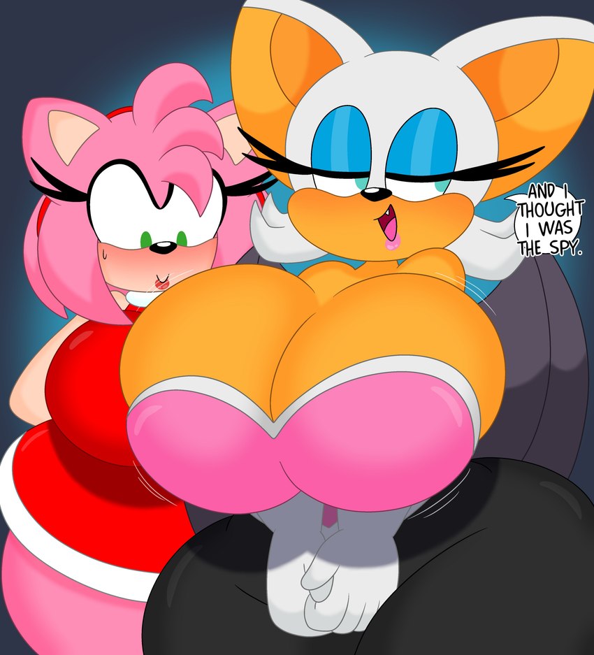 amy rose and rouge the bat (sonic the hedgehog (series) and etc) created by 3barts