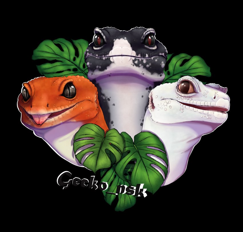 ambiguous_gender black_eyes blep feral forked_tongue group leaf looking_at_viewer open_mouth realistic tongue tongue_out trio fihell eublepharid gecko leopard_gecko lizard reptile scalie alpha_channel bust_portrait hi_res portrait