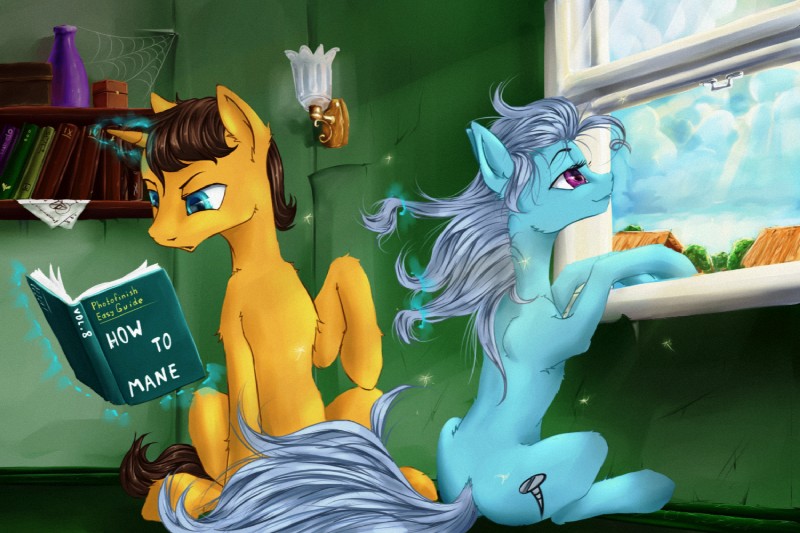 blue_eyes book bookshelf box brown_hair building case cloud container cutie_mark duo female furniture glowing grey_hair hair horn house levitation light magic male outside purple_eyes reading sitting sky sparkles spider_web text window madhotaru friendship_is_magic hasbro my_little_pony mythology doctor_stable_(mlp) screw_loose_(mlp) earth_pony equid equine horse mammal mythological_creature mythological_equine pony unicorn 2014 3:2 english_text