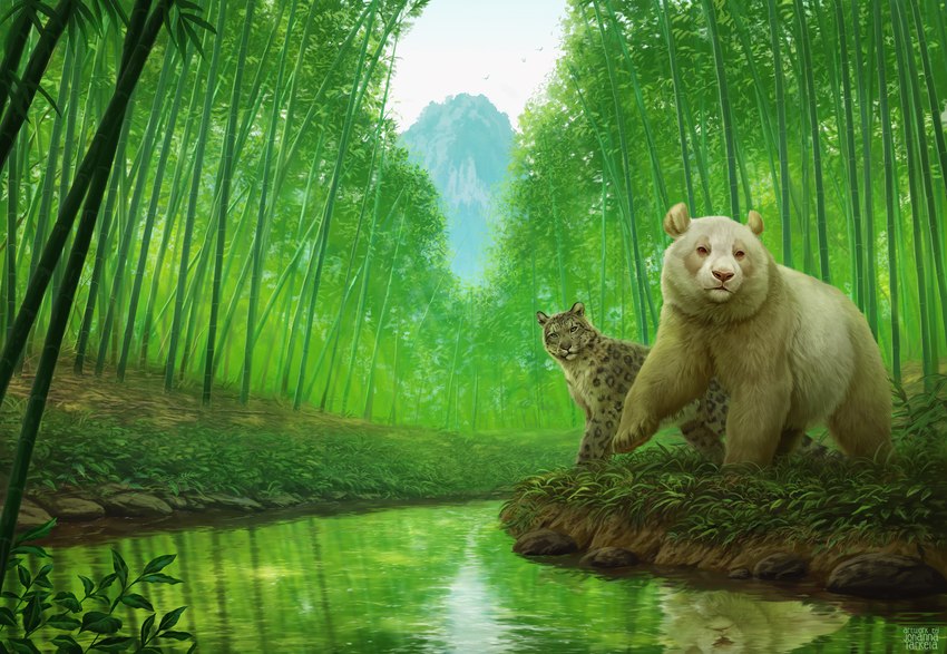 ambiguous_gender bamboo bamboo_forest blue_eyes blue_sky brown_eyes brown_nose creek day detailed_background duo feral forest fur grass grey_body grey_fur leopard_spots leucistic looking_at_viewer outside paws photorealism plant raised_paw reflection rock sky spots standing tail tan_body tan_fur tree water white_body white_fur johis bamboo_kingdom ghost_born_of_winter shiver_born_of_winter ambient_bird bear felid giant_panda mammal pantherine snow_leopard 2021 adobe_photoshop_(artwork) alternate_version_at_source book_cover cover digital_media_(artwork) digital_painting_(artwork) green_theme hi_res official_art shaded adopted_(lore) adoptive_sibling_(lore) female_(lore) male_(lore)