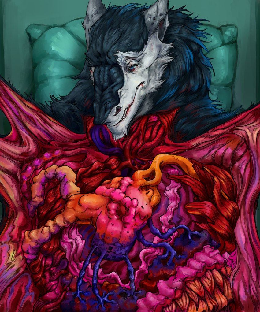 anthro artery bed blood blue_body blue_eyes blue_fur bodily_fluids exposed_organs fur furniture gore green_bed green_pillow grey_body grey_fur guts inside intestines lying male multicolored_body multicolored_fur nude on_back organs pain pillow simple_background solo vein vivisection white_body white_fur sovierdas eran_morkon sergal 2022 5:6 absurd_res digital_drawing_(artwork) digital_media_(artwork) hi_res shaded story story_in_description