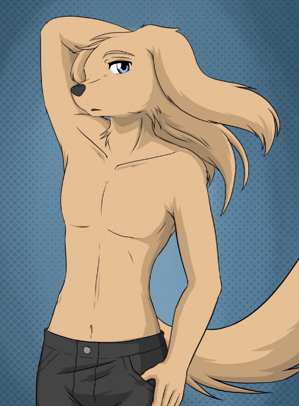 abstract_background anthro black_nose blue_eyes bottomwear brown_body brown_fur brown_hair clothed clothing fur hair long_hair looking_at_viewer male pants pose simple_background solo tan_body tan_fur topless kurapika raven_wolf steve_(raven_wolf) canid canine canis domestic_dog mammal