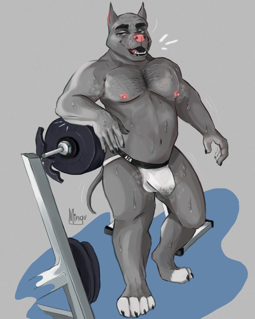 anthro barbell belly big_muscles bodily_fluids body_hair chest_hair claws clothed clothing cum finger_claws genital_fluids hairy jockstrap jockstrap_only leaking_cum leaking_precum looking_at_viewer male moobs musclegut muscular musk musk_clouds nipples precum solo stocky sweat sweatdrop toe_claws topless underwear underwear_only vain vains weights sheenie gym_pals american_pit_bull_terrier canid canine canis domestic_dog hunting_dog mammal pit_bull terrier 4:5 hi_res