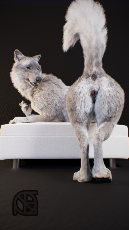 animal_genitalia animal_pussy anthro anus black_nose butt canine_genitalia canine_pussy feet female feral flat_chested fur furniture genitals grey_body grey_fur looking_at_viewer looking_back open_mouth ottoman paws pose presenting presenting_anus presenting_hindquarters presenting_pussy pussy raised_tail realistic semi-anthro smile solo tail teeth cosmiclife helga_(cosmiclife) canid canine canis mammal wolf 3d_(artwork) absurd_res digital_media_(artwork) hi_res pinup