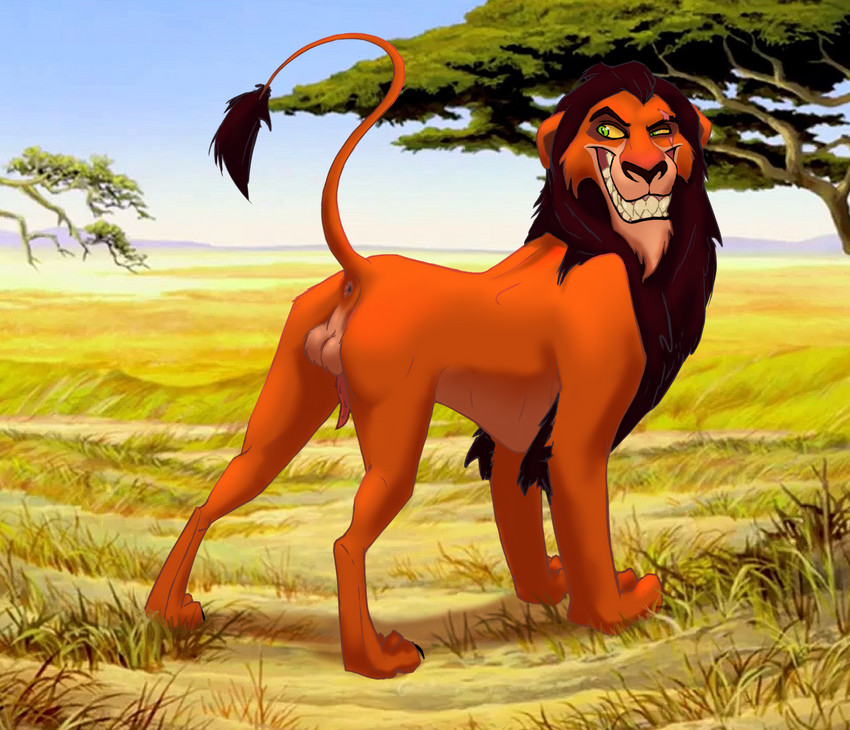 animal_genitalia animal_penis anus backsack balls feral genitals grin male penile_spines penis pose quadruped raised_tail savanna smile solo standing tail teasing falseseke disney the_lion_king scar_(the_lion_king) felid lion mammal pantherine hi_res