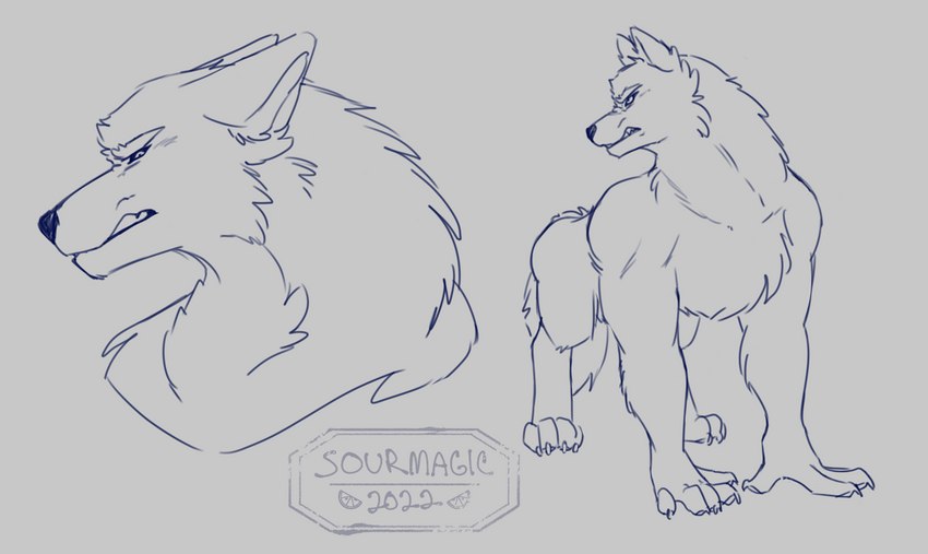 all_fours anthro claws ears_back feral fluffy growling male paws pivoted_ears snarling solo tail_down sourmagic canid canine canis mammal wolf sketch