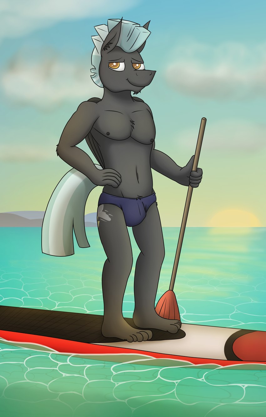 anthro areola belly biped bulge chest_tuft clothed clothing cloud feet hand_on_hip holding_object humanoid_feet looking_at_viewer male male_anthro navel nipples paddle paddleboard plantigrade smile solo speedo standing sun sunset swimwear topless tuft water wings tacomytaco friendship_is_magic hasbro my_little_pony mythology thunderlane_(mlp) equid equine mammal mythological_creature mythological_equine pegasus absurd_res hi_res