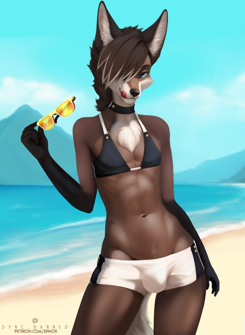 anthro beach bedroom_eyes bikini bikini_top brown_body brown_fur brown_hair bulge choker clothed clothing cloud crossdressing detailed_background eyewear femboy fur gloves_(marking) hair jewelry licking licking_lips looking_at_viewer male mane markings mountain multicolored_body multicolored_fur multicolored_hair narrowed_eyes necklace outside seaside seductive skimpy sky solo sunglasses swimwear tan_body tan_fur tan_hair text tongue tongue_out two-piece_swimsuit water syncbanned foshka canid canine mammal maned_wolf 2023 digital_media_(artwork) digital_painting_(artwork) hi_res url