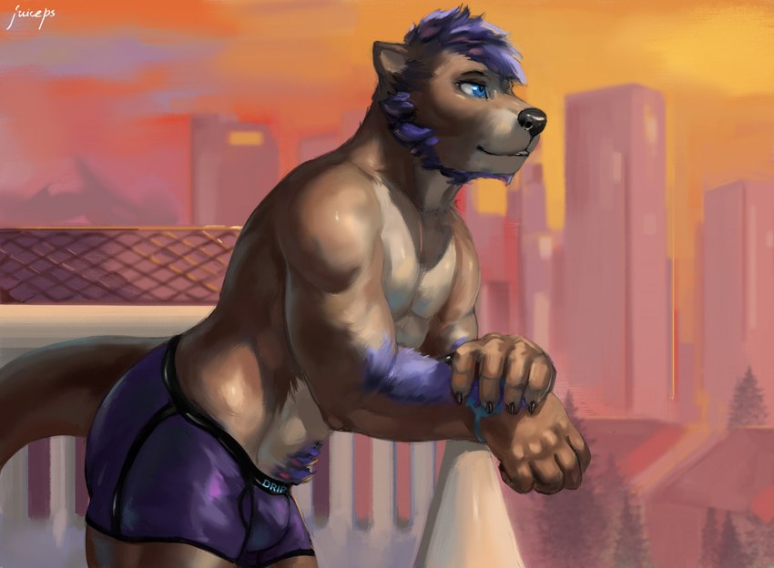 5_fingers anthro arm_hair balcony beard blue_eyes blue_hair body_hair boxer_briefs bulge claws clothed clothing facial_hair fingers hair hairs male muscular muscular_anthro purple_clothing purple_underwear solo underwear underwear_only juiceps elliotttheotter mammal mustelid otter 2021 signature