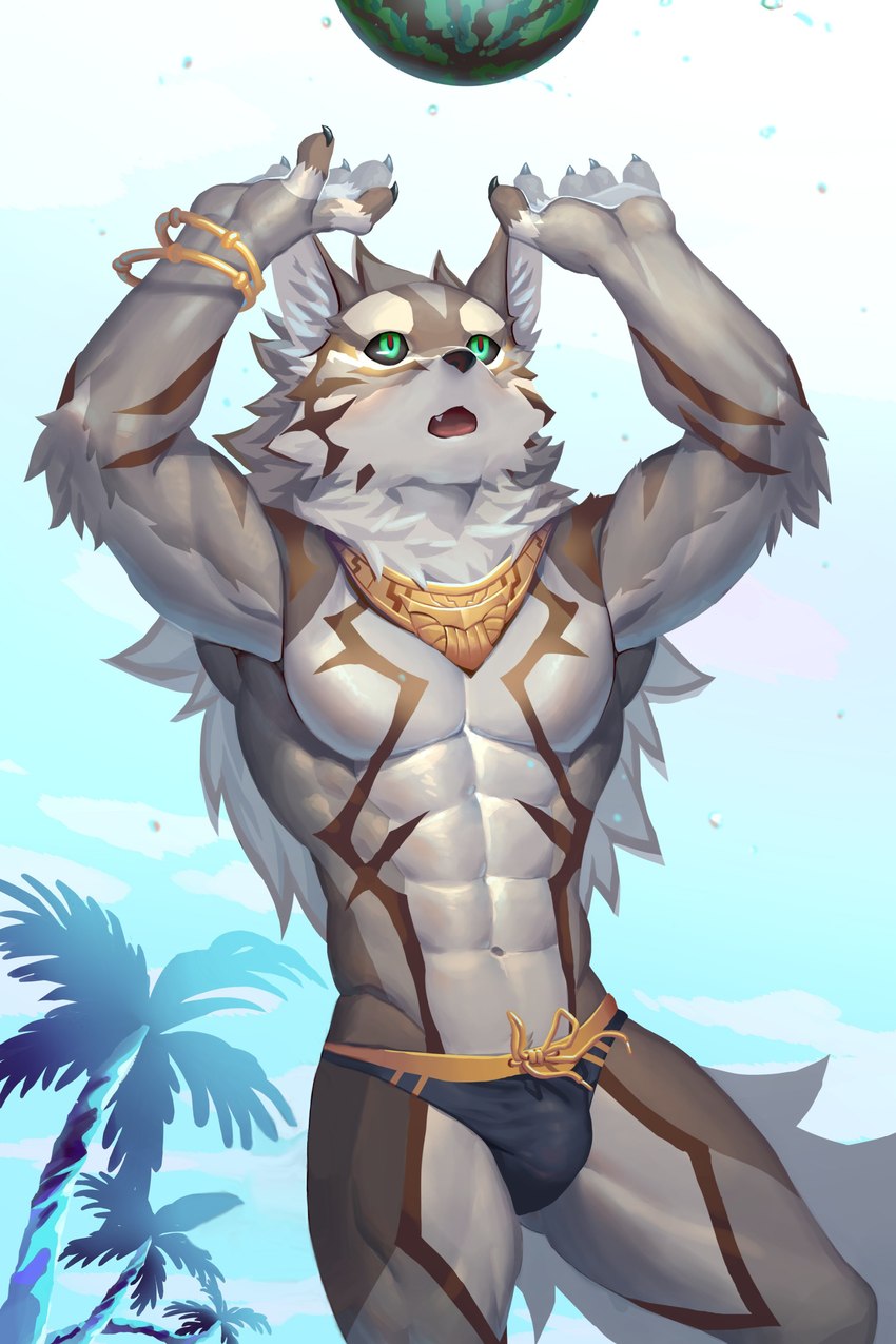 5_fingers abs anthro beach bracelet briefs bulge claws clothing countershading fingers food fruit green_eyes hair jewelry long_hair male mane mane_hair melon muscular muscular_anthro muscular_male navel open_mouth palm_tree pecs plant seaside solo speedo sport standing swimwear tree underwear volleyball watermelon ty_arashi lifewonders tokyo_afterschool_summoners seth_(tas) canid canine canis jackal mammal 2:3 absurd_res hi_res