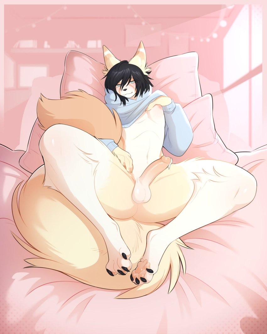 anthro balls bed big_tail black_hair bodily_fluids bottomless claws clothed clothing feet femboy fluffy fluffy_tail furniture genital_fluids genitals hair hoodie hoodie_only humanoid_genitalia humanoid_penis looking_at_viewer male on_bed penis pillow precum reclining solo tail toe_claws toes topwear topwear_only myoukky cali_(nastycalamari) canid canine fox mammal hi_res