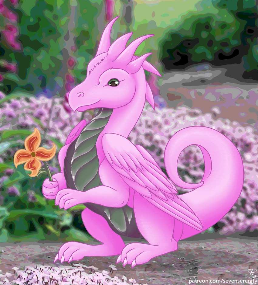 ambiguous_gender blurred_background day feathered_wings feathers feral flower grey_body grey_eyes grey_scales holding_flower holding_object horn orange_flower outside pink_body pink_feathers plant scales sitting solo tail wings sevenserenity mythology dragon mythological_creature mythological_scalie scalie hi_res