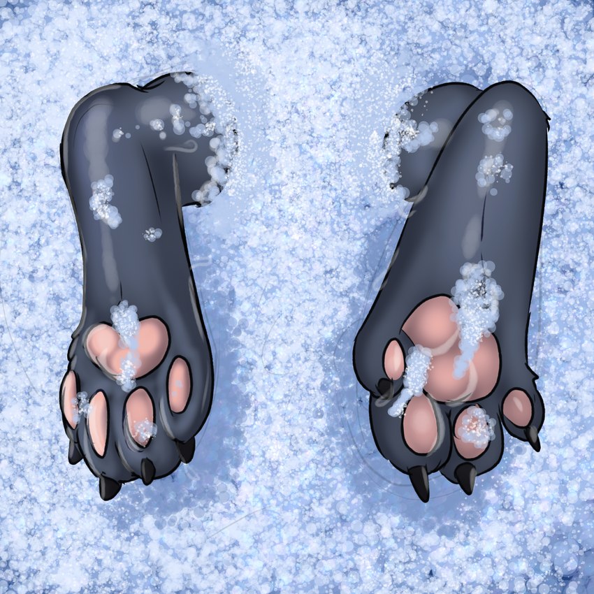 anthro bubble_bath claws digitigrade feet foot_fetish foot_focus fur grey_body grey_fur male pawpads paws paws_only pink_pawpads toe_claws razor_the_firedog canid canine elemental_creature elemental_humanoid firedog humanoid mammal 1:1 absurd_res hi_res huge_filesize