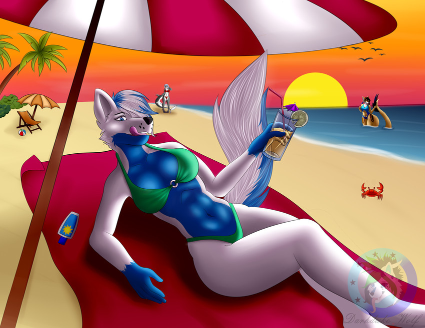 anthro ball beach beach_ball beach_chair beach_towel beach_umbrella beverage bikini chair clothing cutout female food fruit furniture glass holding_object inflatable lemon looking_at_viewer one-piece_swimsuit parasol plant sea seaside sharkini solo sunscreen sunset swimwear towel two-piece_swimsuit water darkdukewolf ambient_arthropod ambient_crab ambient_crustacean ambient_sealife avian bird canid canine canis fish hybrid mammal marine shark wolf