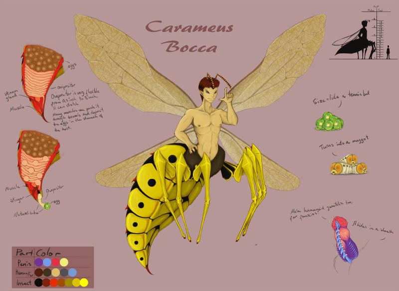 antennae_(anatomy) arthropod_abdomen bodily_fluids cum egg erection exoskeleton fingers genital_fluids genitals hair insect_wings larva male multi_limb multicolored_body multicolored_exoskeleton nipples nude ovipositor penis short_hair simple_background smile solo stinger text unusual_anatomy unusual_genitalia unusual_penis wings konani carameus_bocca animal_humanoid arthropod arthropod_humanoid german_yellowjacket humanoid hymenopteran hymenopteran_humanoid insect insect_humanoid maggot taur vespid wasp wasp_humanoid yellowjacket_(wasp) 2016 absurd_res digital_media_(artwork) english_text full-length_portrait hi_res model_sheet portrait