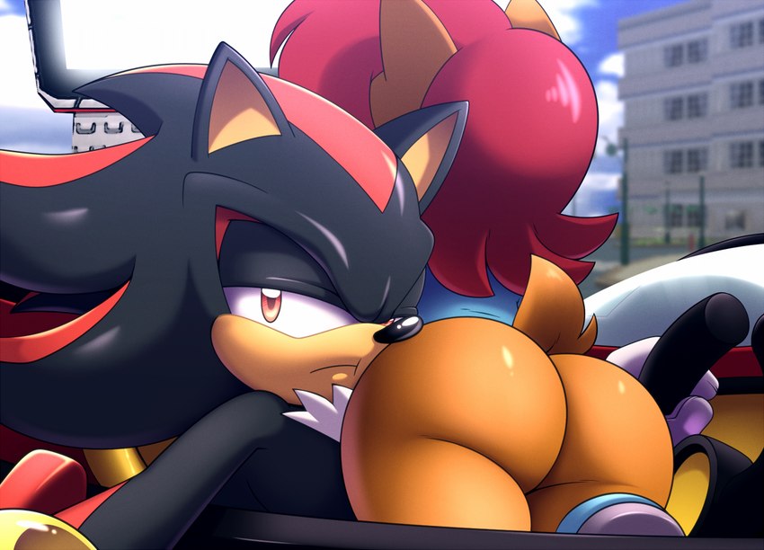 sally acorn and shadow the hedgehog (sonic the hedgehog (archie) and etc) created by hyoumaru