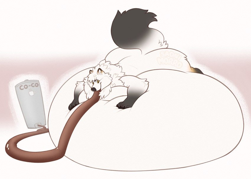 5_fingers anthro belly beverage big_belly black_body black_fur candy chocolate dessert dipstick_tail fingers food fur hose hose_in_mouth hose_inflation hot_chocolate huge_belly immobile inflation lying male markings on_front overweight overweight_anthro simple_background solo tail tail_markings white_body white_fur saonimorro canid canine fox mammal hi_res