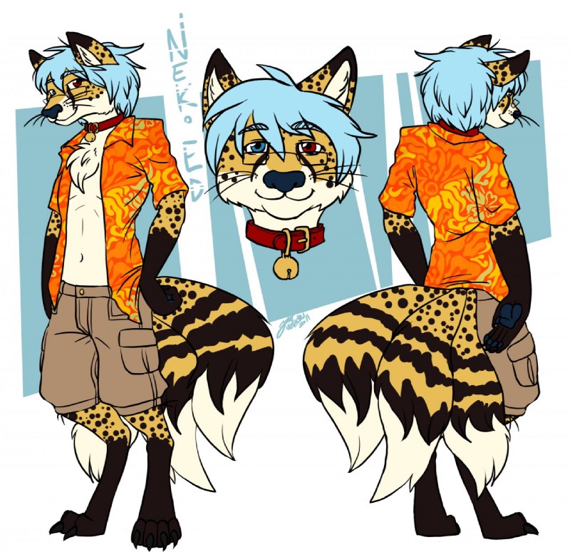 anthro bell blue_hair clothed clothing collar digitigrade eyewear fur glasses hair heterochromia male multi_tail solo tail text eevachu neko_ed canid canine cheetah felid feline fox hybrid mammal character_name hi_res model_sheet