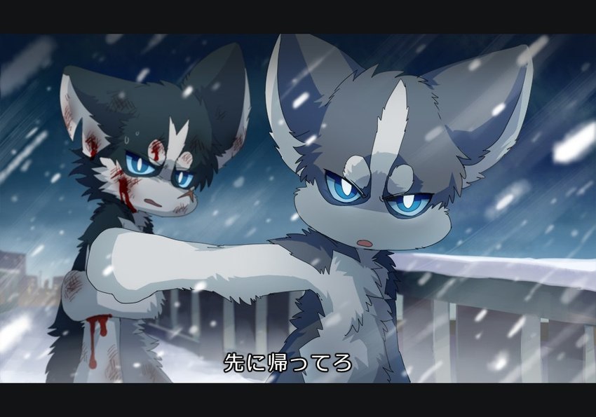 angry black_body black_fur blood bodily_fluids bridge city city_background countershading dialogue duo fur grey_body grey_fur holding_arm looking_at_another looking_at_viewer male night scar semi-anthro snow snowing sweat text white_body white_fur winter wounded ayaka a-chan shibeta canid canine canis domestic_dog husky mammal nordic_sled_dog siberian_husky spitz japanese_text translated brother_(lore) brothers_(lore) sibling_(lore)