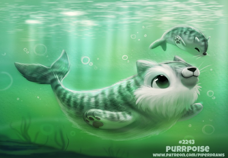 ambiguous_gender duo feral pawpads simple_background text underwater water white_background young young_feral piper_thibodeau cetacean dolphin domestic_cat felid feline felis hybrid mammal marine oceanic_dolphin porpoise toothed_whale digital_media_(artwork) digital_painting_(artwork) url