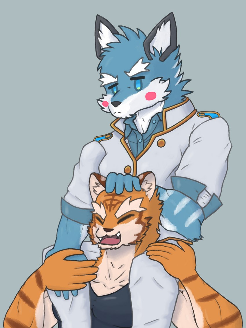 anthro blue_body blue_fur clothing duo fur male orange_body orange_fur school_uniform simple_background sitting_on_shoulders uniform blossomingruin knights_college argo_northrop grantly_bell canid canine canis felid mammal pantherine tiger wolf 3:4 absurd_res hi_res shaded