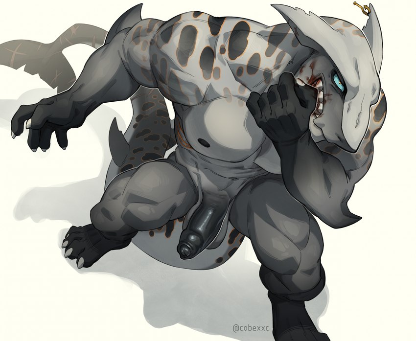 anthro balls blood bodily_fluids digitigrade erection foreskin genitals glans high-angle_view male male_anthro muscular muscular_anthro muscular_male nipples pecs penis piercing simple_background solo tail white_background cobu fish marine shark hi_res