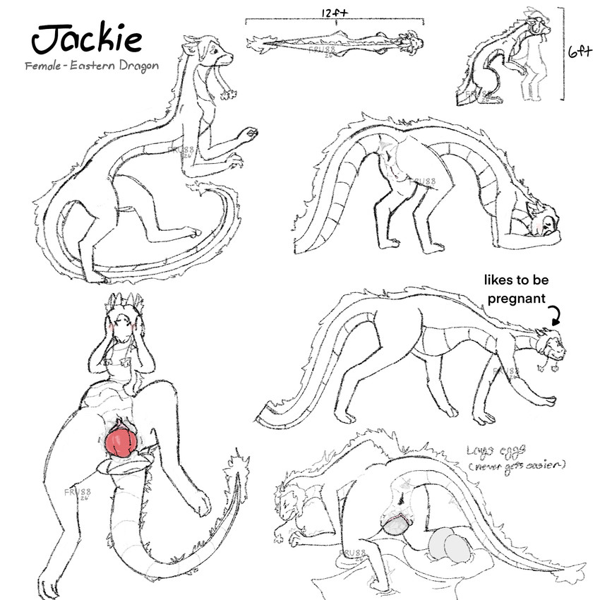 abdominal_bulge all_fours anthro anus barbel_(anatomy) bashful blush blush_lines bodily_fluids butt egg egg_from_vagina embarrassed erection eyes_closed female flesh_whiskers fur genital_fluids genitals happy horn knot knotted_penis looking_at_viewer male male_penetrating mane mouth_closed nude oviposition penetration penile penis pregnant pregnant_female presenting presenting_hindquarters presenting_vulva semi-anthro sex shy smile solo standing straining tail text vaginal vaginal_fluids vaginal_penetration vulva walking furryrawruwu88 mythology jackie_(furryrawruwu88) dragon eastern_dragon mythological_creature mythological_scalie scalie 1:1 2026 3d_(artwork) colored digital_drawing_(artwork) digital_media_(artwork) english_text hi_res model_sheet signature