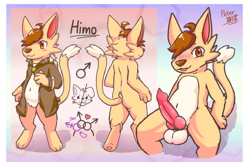 himo created by himo peter0409