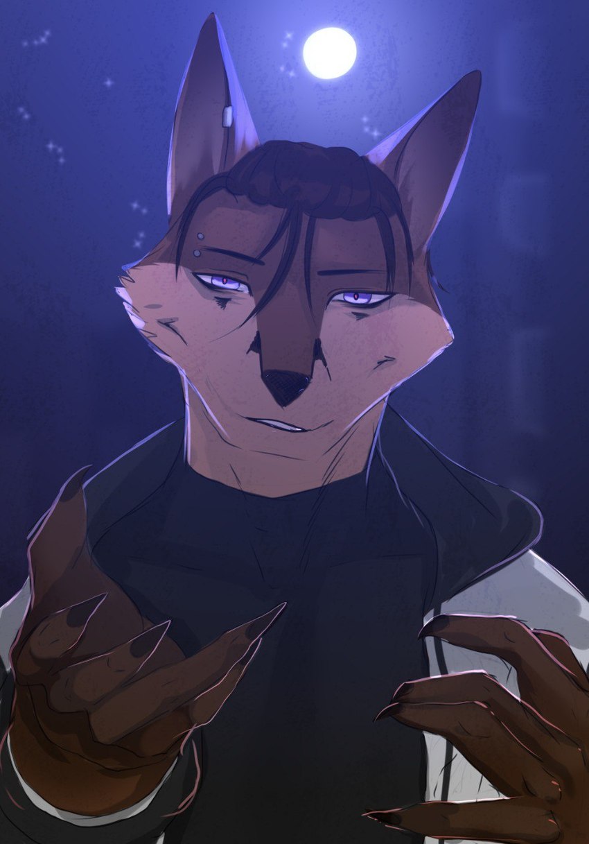 anthro black_nails brown_body brown_fur brown_hair colored_nails ear_piercing eyebrow_piercing facial_piercing fur hair light male moon moonlight nails night piercing purple_eyes solo star teeth white_body white_fur yourumi kais_(yourumi) canid canine fox mammal hi_res