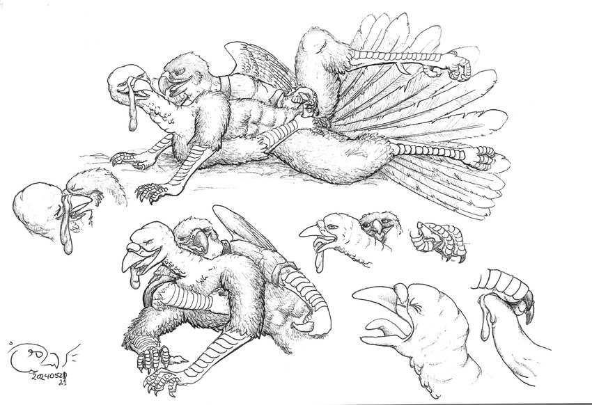 4_toes anisodactyl anthro avian_caruncle beak bodily_fluids breath clothed clothing dripping duo eyes_closed feathered_wings feathers feet genital_fluids genitals half-closed_eyes hand_on_chest hand_on_ground holding_partner's_penis holding_penis imminent_orgasm kissing kissing_while_handjob leg_in_air looking_at_another looking_at_partner male male/male masturbation multi_frame_sequence narrowed_eyes open_beak open_mouth panting penis precum precum_drip reclining romantic romantic_couple scuted_arms scuted_legs scutes sex sex_toy snood_(anatomy) stroking_penis tail tail_feathers talons toes toying_partner wings tzair_(artist) konarak_(tzair) tzair_(character) avian bird falcon falconid galliform peregrine_falcon phasianid turkey absurd_res black_and_white hi_res monochrome story story_in_description traditional_media_(artwork)