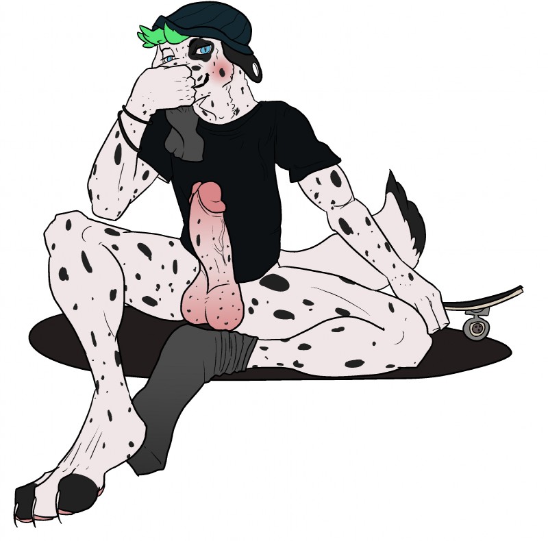 anthro balls beanie biped blush clothed clothing erection footwear fur genitals green_hair hair hat headgear headwear humanoid_genitalia humanoid_penis legwear looking_at_viewer male musk penis simple_background skateboard skater smile socks solo spots topwear vehicle white_body white_fur xdarkspace canid canine canis dalmatian domestic_dog mammal absurd_res hi_res