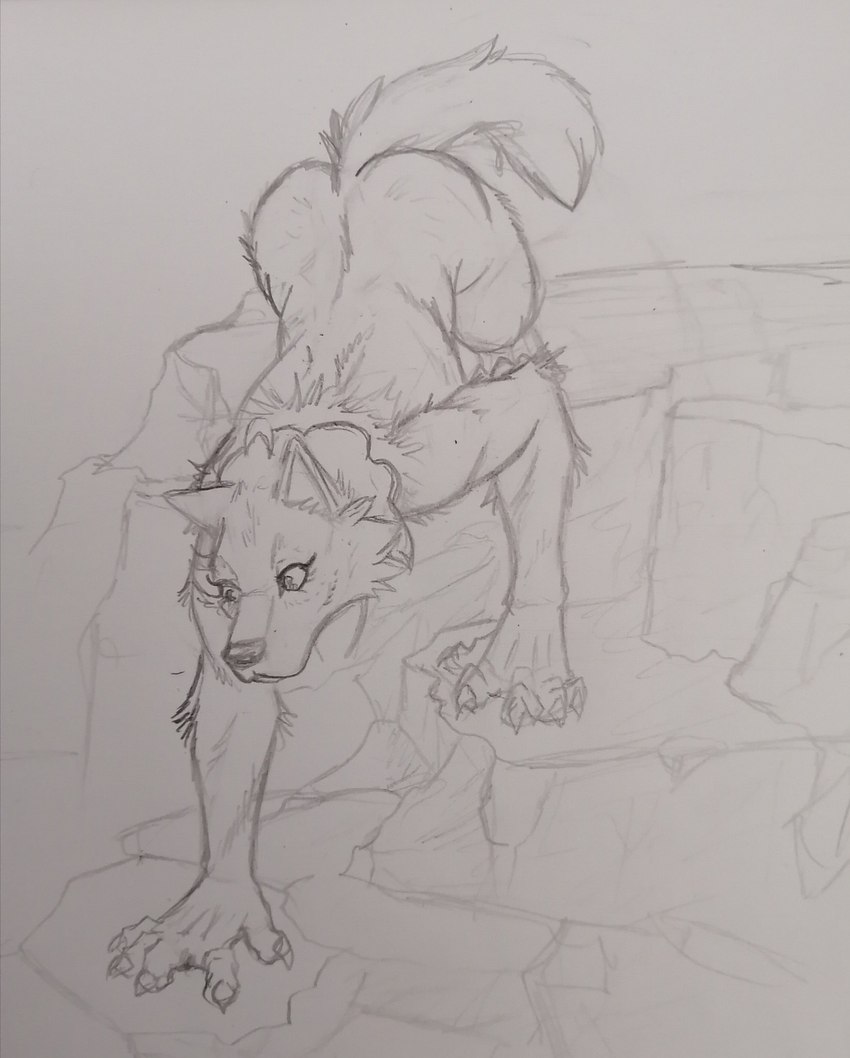 after_transformation all_fours anthro butt claws female fur hiking mountain nude rock simple_background sketchy solo zire9 mythology nadja_rodriguez canid canine mammal mythological_canine mythological_creature werecanid werecanine werecreature werewolf black_and_white hi_res monochrome sketch