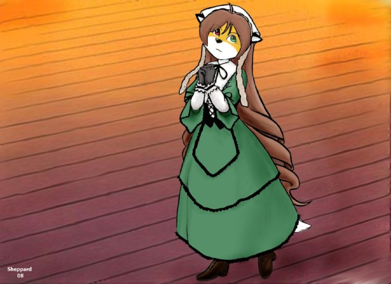 alternative_fashion anthro biped black_nose brown_hair classic_lolita clothed clothing dress female footwear fur hair heterochromia j-fashion lolita_(fashion) long_hair orange_body orange_fur shoes solo standing white_body white_fur shep rozen_maiden furseiseki_(character) canid canine fox mammal 2008