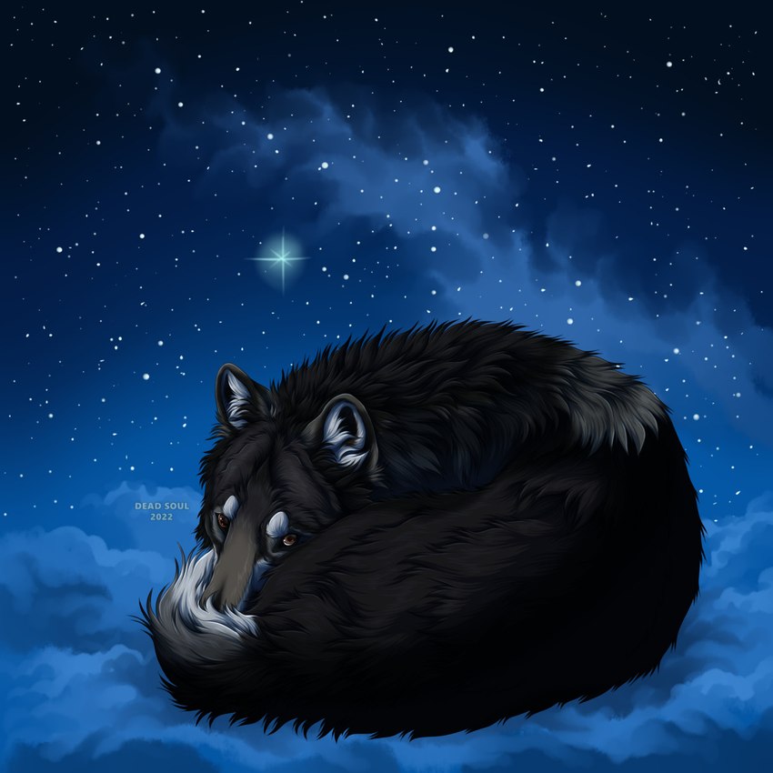 ambiguous_gender brown_body brown_eyes brown_fur cloud feral fur glistening glistening_eyes logo looking_at_viewer sky solo star msdeadsoul canid canine mammal 1:1 2022 artist_logo dated hi_res