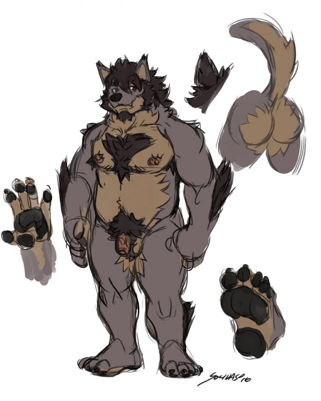 5_fingers 5_toes anthro arm_tuft armpit_hair balls beard biped black_hair black_nose body_hair butt chest_hair elbow_tuft facial_hair feet fingers flaccid foreskin fur genitals grey_body grey_fur hair heterochromia humanoid_genitalia humanoid_penis looking_at_viewer male multicolored_body multicolored_fur nipples nude penis plantigrade pubes raised_tail simple_background soles solo standing tail tan_body tan_fur toes tuft white_background solidasp mythology canid canine mammal mythological_canine mythological_creature werecanid werecanine werecreature werewolf 2016 4:5 digital_media_(artwork) hi_res model_sheet signature sketch