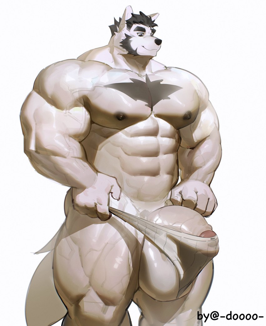 abs anthro balls biceps big_balls big_muscles big_penis briefs clothing genitals huge_muscles male muscular muscular_anthro muscular_male pecs penis quads simple_background solo stretched_clothing thick_penis underwear white_background white_body white_briefs white_clothing white_underwear doooo2424 canid canine canis mammal wolf hi_res