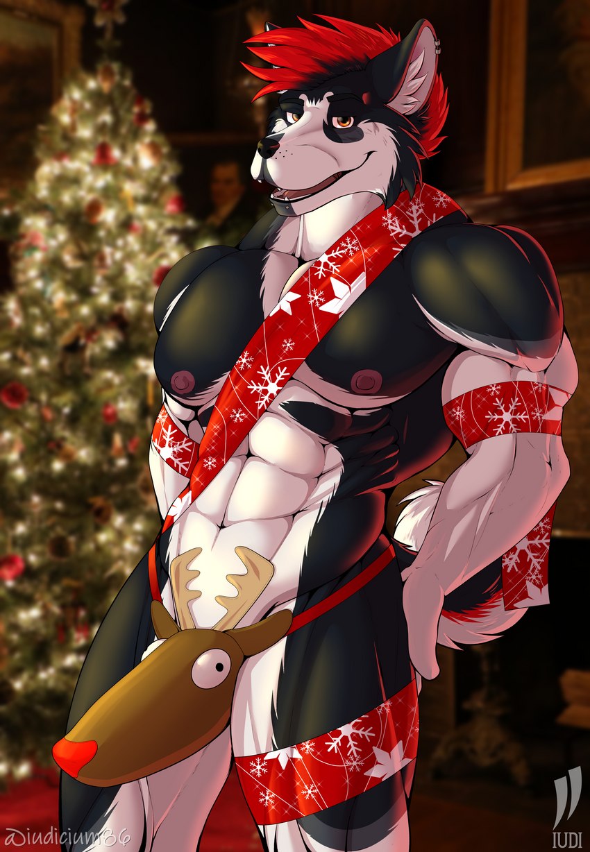 sebastian the husky (christmas) created by iudicium86