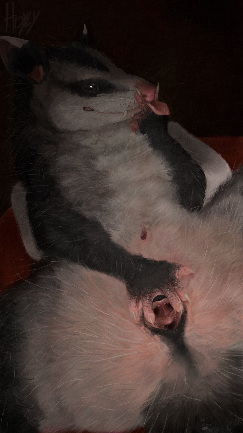 2_clitorises 5_fingers anal_fluids anatomically_correct anatomically_correct_anus anatomically_correct_cloaca anatomically_correct_genitalia anatomically_correct_pussy animal_clitoris animal_genitalia animal_pussy anus anus_focus bedroom_eyes big_pupils black_body black_cloaca black_ears black_eyes black_fur black_markings black_skin bodily_fluids butt claws clitoris cloaca cloaca_focus cloaca_juice countershading digitigrade dipstick_ears ear_markings eye_markings facial_markings female female_feral feral finger_claws fingerless_(marking) fingers fluffy foreshortening forked_pussy front_view fur genital_fluids genital_focus genitals gesture grey_body grey_fur guard_hair hammock hand_gesture hand_on_crotch head_markings hemiclitores inside inviting logo looking_at_viewer lying markings marsupial_genitalia marsupial_pussy monotone_anus monotone_markings monotone_tail mouth_markings multi_clitoris multi_genitalia multicolored_body multicolored_ears multicolored_fur narrowed_eyes on_back paws pillow pink_anus pink_body pink_ears pink_nose pink_pussy pink_skin pink_tongue pouch_(anatomy) presenting presenting_anus presenting_cloaca presenting_hindquarters presenting_pussy pupils pussy realistic realistic_feral realistic_fur red_bedding reverse_v_sign ruff seductive simple_background smile smiling_at_viewer smirk smirking_at_viewer solo spread_anus spread_cloaca spread_pussy spreading tail teeth teeth_showing text textured_background thick_thighs tongue tongue_between_fingers tongue_out tuft v_sign vaginal_fluids whisker_spots whiskers white_claws wide_hips hdyly kali_denise american_opossum hybrid mammal marsupial virginia_opossum water_opossum white-eared_opossum 2025 9:16 absurd_res artist_logo artist_name constructed_language detailed digital_media_(artwork) digital_painting_(artwork) hi_res lineless painting_(artwork) portrait shaded signature smaller_version_at_source three-quarter_portrait female_(lore)