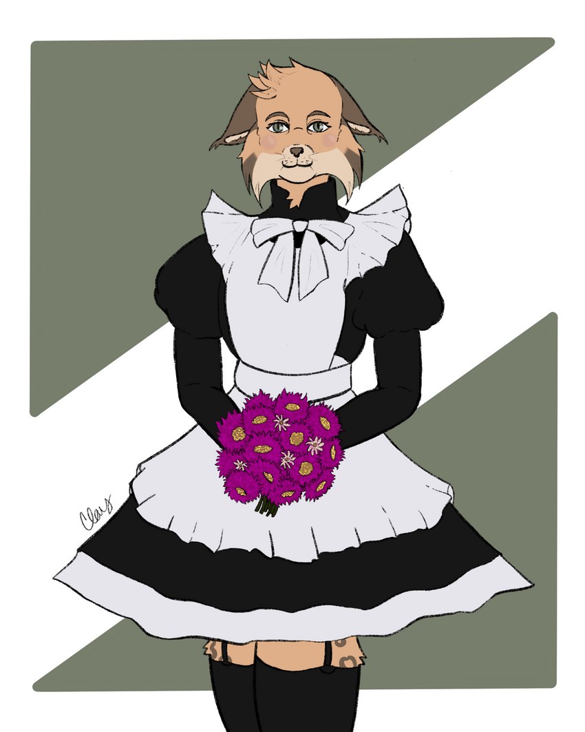 anthro blush bouquet bow_ribbon clothed clothing collar crossdressing dress ears_back ears_down flower holding_flower holding_object legwear looking_at_viewer maid_uniform male markings partially_clothed pivoted_ears plant simple_background solo thigh_highs uniform clay_bat drex_the_lynx felid feline iberian_lynx lynx mammal 4:5 absurd_res hi_res