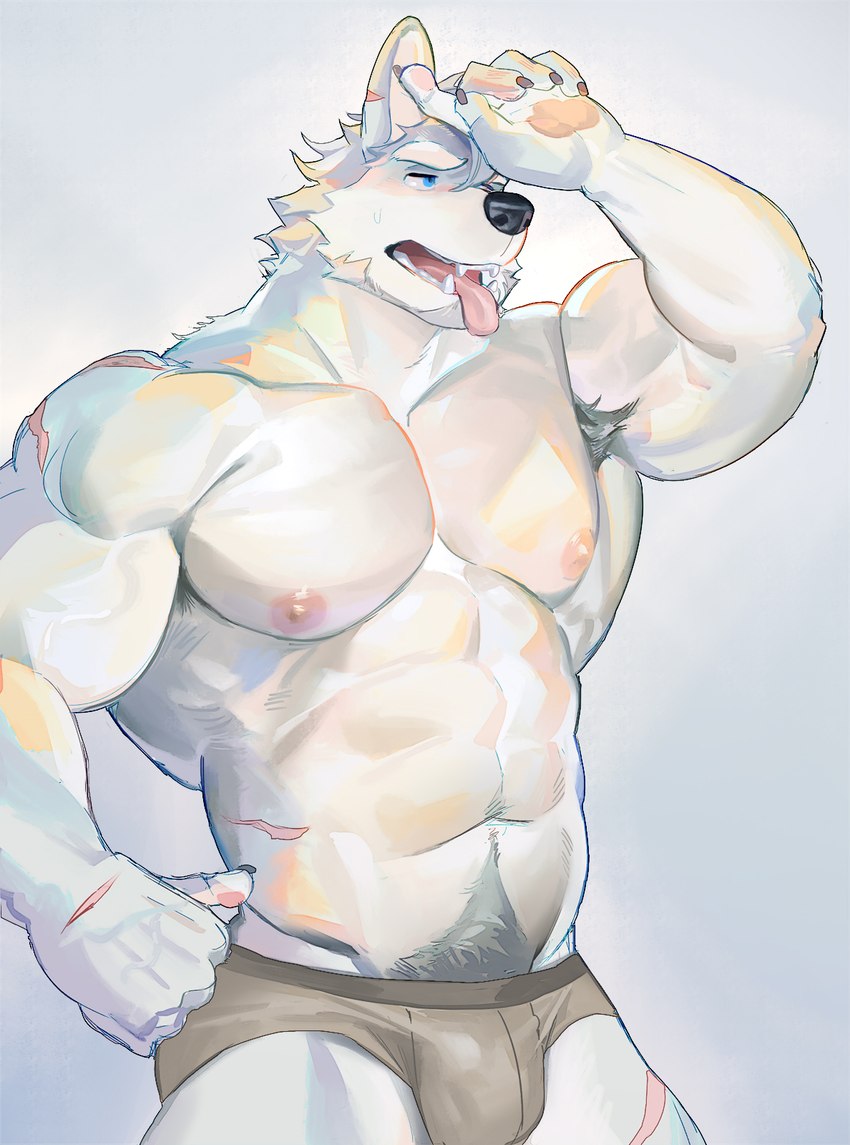 abs anthro armpit_hair bodily_fluids body_hair briefs cheek_tuft clothing facial_tuft fangs hair hand_on_hip male muscular muscular_male neck_tuft nipples open_mouth pubes raised_arm scar solo sweat teeth tongue tongue_out tuft underwear seatohao canid canine canis mammal wolf hi_res