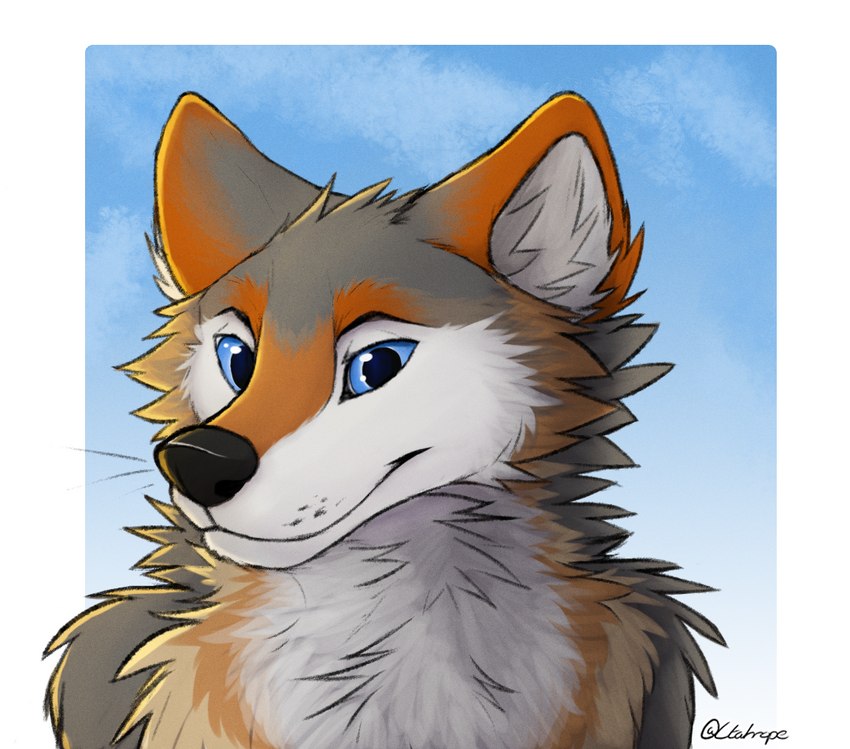 anthro black_nose blue_eyes brown_body brown_fur cheek_tuft chest_tuft facial_tuft fluffy fur grey_body grey_fur male neck_tuft solo tuft white_body white_fur ctahrpoe canid canine canis mammal red_wolf wolf 2021 bust_portrait portrait signature